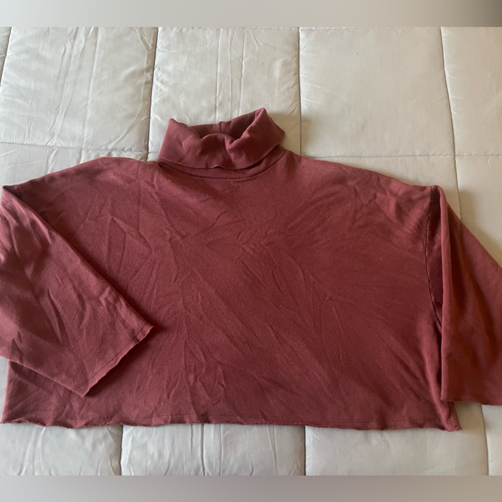 Brick color crop Sweater with turtle neck